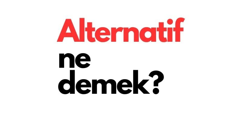 alternatif ne demek