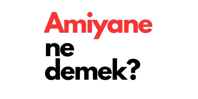 amiyane ne demek