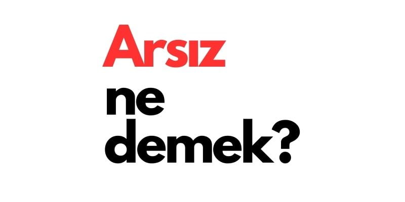 arsiz ne demek