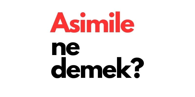 asimile ne demek