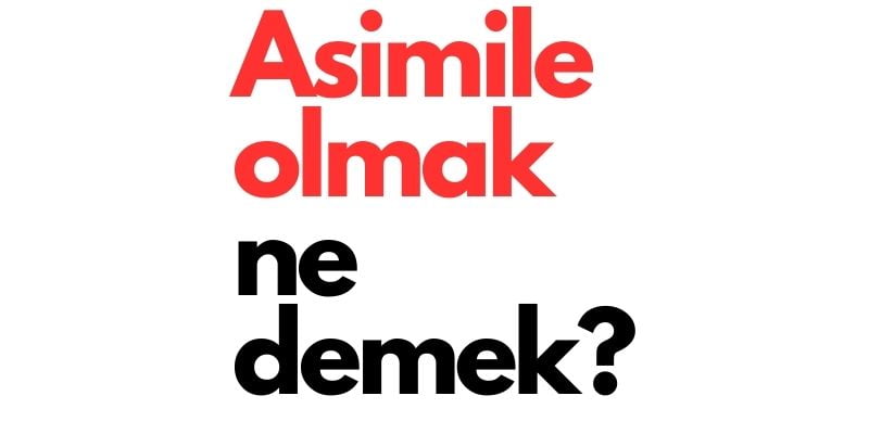 asimile olmak ne demek