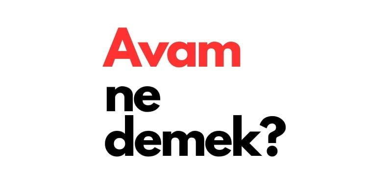 avam ne demek