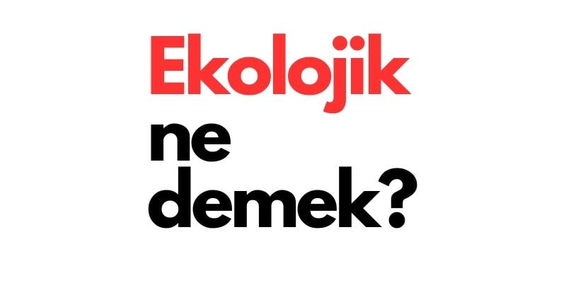 ekolojik ne demek