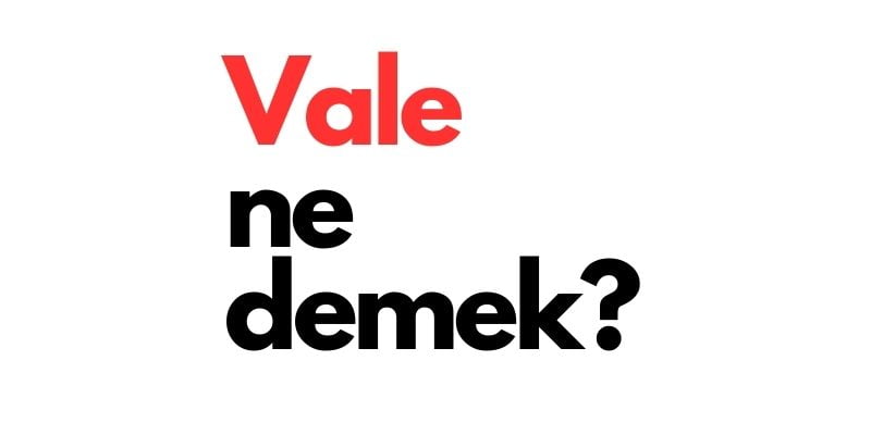 vale ne demek