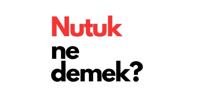 nutuk ne demek