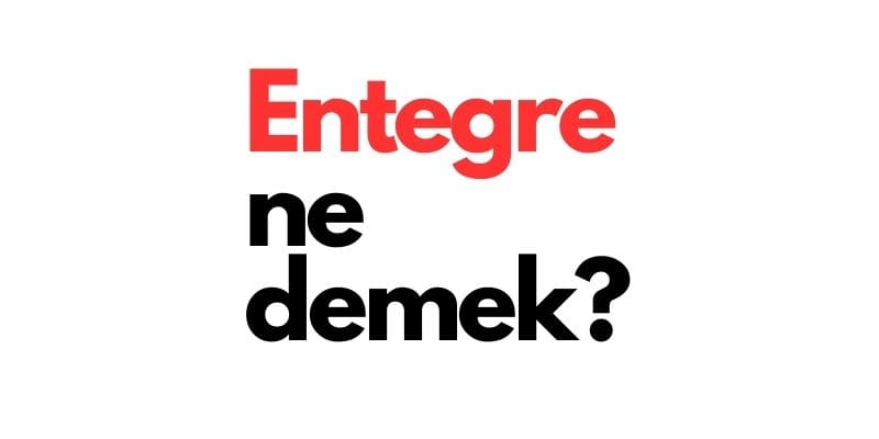 entegre ne demek