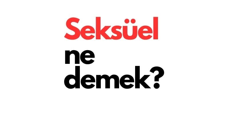 seksüel ne demek