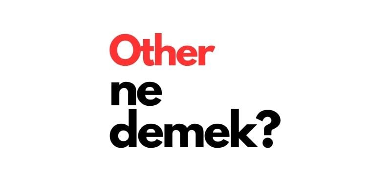other ne demek